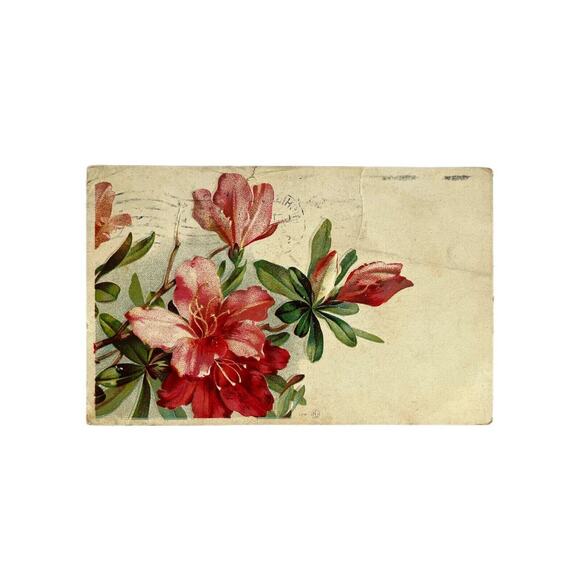 Antique 1909 Ephemera Embossed Posted Signed Postcard Lilies Floral Best Wishes - Picture 2 of 8